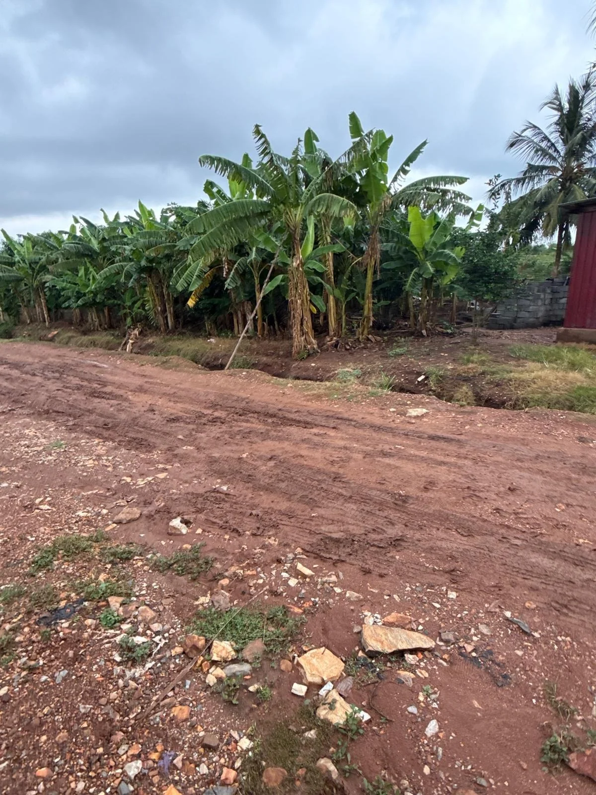 Ghana